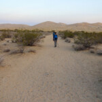Si parte! The trail to the Kelso Dunes from Kelso Dunes Trailhead in the Mojave National Preserve in California