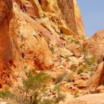 Il passaggio tra i massi è più facile di quanto appaia The wild valley to descend at the start of White Domes Trail in Valley of Fire State Park in Nevada