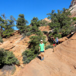 E le rocce... A rocky but easy section of Canyon Overlook Trail in Zion National Parl in Utah