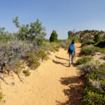 Zion National Park: escursione a Observation Point A walk to Observation Point in Zion National Park in Utah