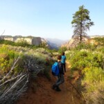 Stiamo arrivando ai bordi dell’altopiano... East Mesa Trail close to the junction with Observation Point Trail in Zion National Park in Utah