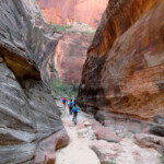 Scendendo l’Echo Canyon High walls inside Echo Canyon along Observation Point Trail in Zion National Park in Utah