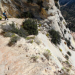 E’ il punto più delicato del percorso Looking down from the switchbacks of Observation Point Trail in Zion National Park in Utah