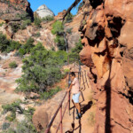 Costeggiando Pine Creek Looking down into Pine Creek Slot Canyon from Canyon Overlook Trail in Zion National Park in Utah