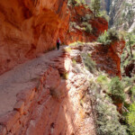 Ci avviciniamo ad un altro punto clou Near Echo Canyon along the Observation Point Trail in Zion National Park in Utah