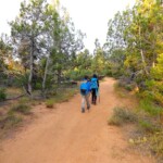 I 3 vantaggi dell’East Mesa Trail per raggiungere Observation Point Near the Trailhead of East Mesa Trail outside Zion National Park in Utah