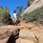 Si inizia la gita The Start of Canyon Overlook Trail in Zion National Park in Utah