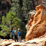 Un sentiero di grande bellezza The descent to Weeping Rock on Observation Point Trail in Zion National Park in Utah