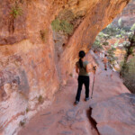 Zion National Park: l’escursione a Canyon Overlook The easy but scenic walk to Canyon Overlook in Zion National Park in Utah