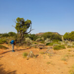 Manca poco ad Observation Point... The final sandy section of Observation Point Trail above Zion Canyon in Utah