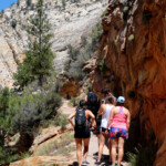 C’è chi scende e chi invece sta salendo solo ora Tourists on Observation Point Trail in Zion National Park in Utah