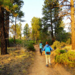 In marcia! Walking East Mesa Trail in Zion National Park Utah
