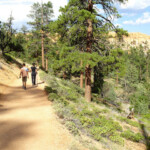 Il sentiero di collegamento con Queens Garden Bryce Canyon National Park Amphitheather Traverse Connecting Trail to Queens Garden