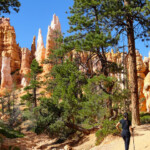 In direzione di Queens Garden Bryce Canyon National Park Amphitheather Traverse Near Queens Garden