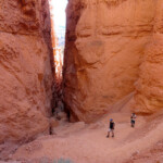 Le pareti si alzano Entrance to Wall Street Slot Canyon on the Navajo Loop in Bryce Canyon National Park in Utah