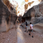 Sono ormai ore che siamo soli… Family hike in Willis Creek Slot Canyon in Utah