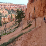 Un’ultima discesa… Going Down the Bottom of the Bryce Amphitheater in Bryce Canyon National Park in Utah