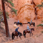 Dai la precedenza… Horse Ride on Peek A Boo Loop in Bryce Canyon National Park in Utah