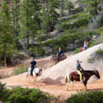 E subito si incontrano i cavalli Horses on Peek A Boo Loop in Bryce Canyon National Park in Utah
