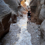 Dentro lo slot... Inside Willis Creek Canyon in Grand Staircase Escalante NM in Utah