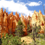 Un paesaggio incantato Walking in the lower section of Navajo Loop in Bryce Canyon National Park in Utah