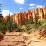Ormai quasi sul fondo del Navajo Loop Near the bottom of Navajo Loop in Bryce Canyon National Park in Utah
