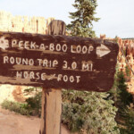L’intersezione con il Peek-A-Boo Loop Peekaboo Loop in Bryce Canyon National Park in Utah USA