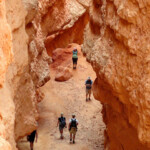 Dentro Wall Street Walking Inside Wall Street Slot Canyon on the Navajo Loop in Bryce Canyon National Park in Utah