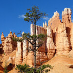 Che spettacolo! Walking Queens Garden Trail in Bryce Canyon National Park in Utah