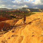 Niente sentiero, si cammina sulla roccia Walking in Kodachrome Basin State Park in Utah
