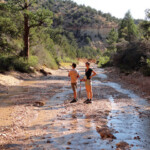 L’acqua del torrente è chiara, limpidissima Walking in Willis Creek Canyon in Grand Staircase Escalante NM in Utah