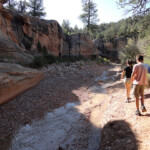 I primi passi… We start our walk inside Willis Creek Canyon in Grand Staircase Escalante NM in Utah