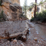Per un breve tratto il canyon si allarga... Willis Creek Canyon between Second and Third Narrows
