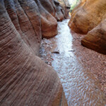Al termine dei primi narrows Willis Creek Canyon end of the first Narrows