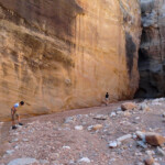 Il canyon diventa maestoso... Willis Creek Canyon entering the Third Narrows