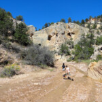 Il ritorno… Willis Creek Canyon the way back from the confluence with Averett Canyon to the trailhead