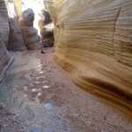 Di nuovo nei narrows Willis Creek Slot Canyon in Grand Staircase Escalante NM in Utah