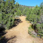 L’inizio del sentiero Willis Creek Trailhead the Start of the Hike to the Slot Canyon