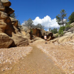 Si è rivelata una passeggiata non solo interessante ma anche rilassante... Willis Creek an easy canyon hike in Grand Staircase Escalante NM in Utah