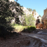 E’ questo il punto di turnaround Willis Creek at the confluence with Averett Canyon in Grand Staircase Escalante NM in Utah