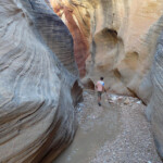 All’entrata dei first narrows Willis Creek the entrance of the first Narrows at twenty minutes from the Trailhead