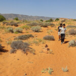 Il cielo è azzurro, non c’è una nuvola Desert hike from Upper end of Peek-A-Boo to the upper entrance of Spooky slot canyon in the Dry Fork of Coyote Gulch in Grand Staircase Escalante NM in Utah USA