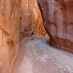 Entriamo nei narrows della Dry Fork Entering Dry Fork Narrows in the Dry Fork of Coyote Gulch in Grand Staircase Escalante National Monument in Utah USA