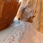L’uscita dai narrows Exiting the Dry Fork Narrows in Grand Staircase Escalante National Monument in Utah USA