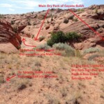Ecco la Dry Fork From the top of shortcut looking to the main Dry Fork of Coyote Gulch in Grand Staircase Escalante National Monument in Utah United States of America