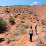 Rimontiamo la gola Going up the ravine coming from the Dry Fork of of Coyote Gulch in Grand Staircase Escalante National Monument in Utah USA