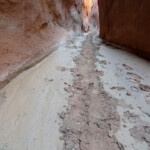 La sezione più stretta dei Dry Fork Narrows non dovrebbe essere lontana… Hiking inside Dry Fork Narrows in the Dry Fork of Coyote Gulch in Grand Staircase Escalante National Monument in Utah USA