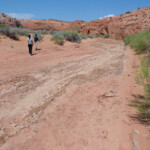 Continuiamo la nostra passeggiata Hiking the Dry Fork of Coyote Gulch near the lower entrance of Peek-A-Boo in Grand Staircase Escalante National Monument in Utah