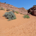 Siamo all’uscita inferiore di Spooky Gulch Lower entrance of Spooky Gulch in the Dry Fork of Coyote Gulch in Grand Staircase Escalante National Monument in Utah USA