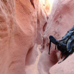Il canyon si stringe sempre più Inside the slot of Spooky Gulch in the Dry Fork of Coyote Gulch in Grand Staircase Escalante National Monument in Utah USA